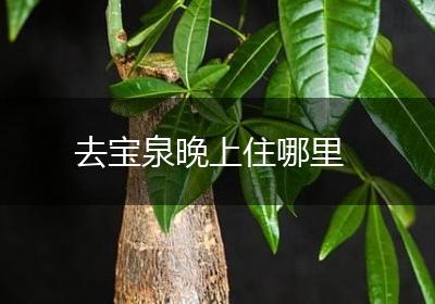 去宝泉晚上住哪里