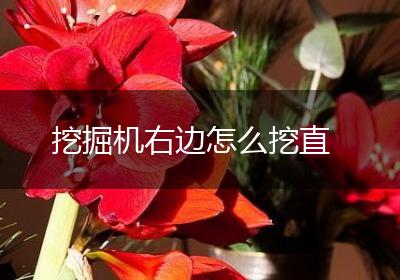 挖掘机右边怎么挖直