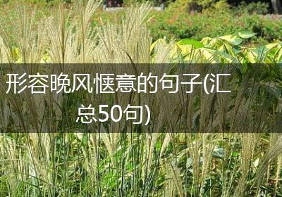 形容晚风惬意的句子(汇总50句)