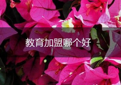 教育加盟哪个好