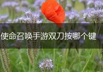 使命召唤手游双刀按哪个键