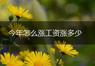 今年怎么涨工资涨多少