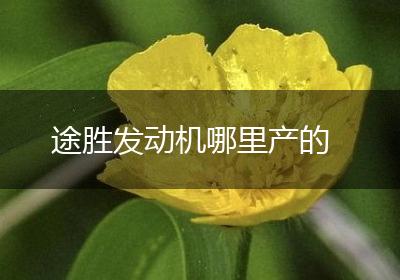 途胜发动机哪里产的