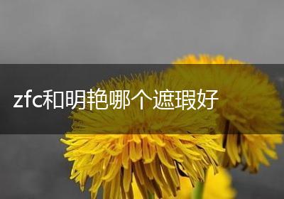 zfc和明艳哪个遮瑕好