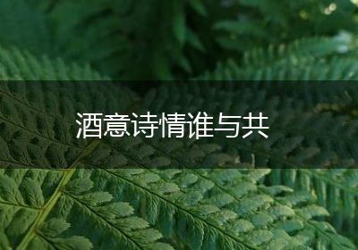 酒意诗情谁与共