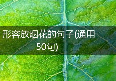 形容放烟花的句子(通用50句)