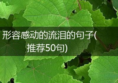 形容感动的流泪的句子(推荐50句)
