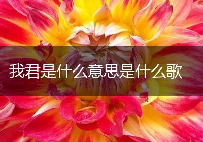 我君是什么意思是什么歌