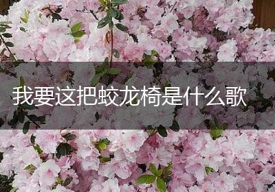 我要这把蛟龙椅是什么歌