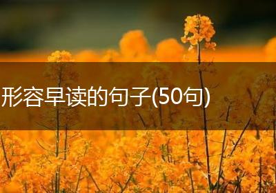 形容早读的句子(50句)