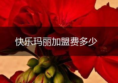 快乐玛丽加盟费多少