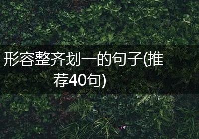 形容整齐划一的句子(推荐40句)