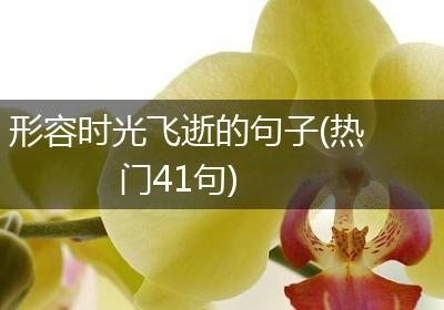 形容时光飞逝的句子(热门41句)