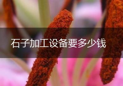 石子加工设备要多少钱