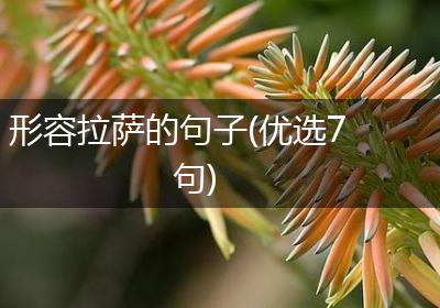 形容拉萨的句子(优选7句)
