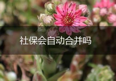 社保会自动合并吗