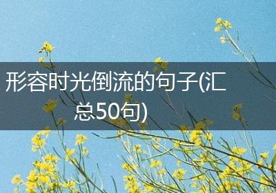 形容时光倒流的句子(汇总50句)