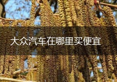 大众汽车在哪里买便宜
