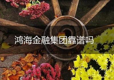 鸿海金融集团靠谱吗