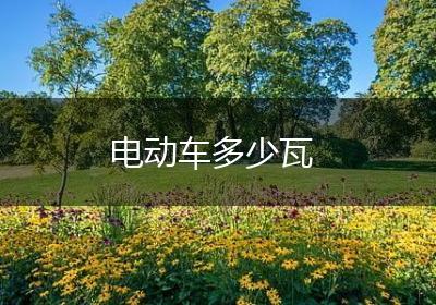 电动车多少瓦