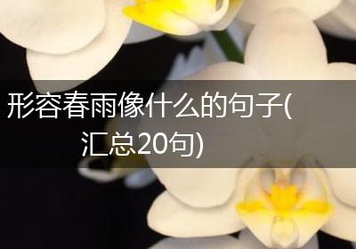 形容春雨像什么的句子(汇总20句)