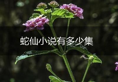蛇仙小说有多少集