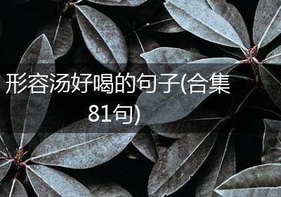 形容汤好喝的句子(合集81句)