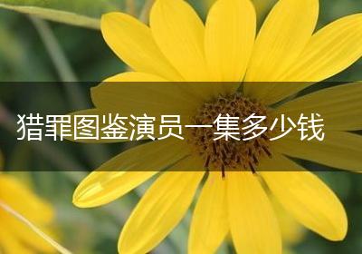 猎罪图鉴演员一集多少钱
