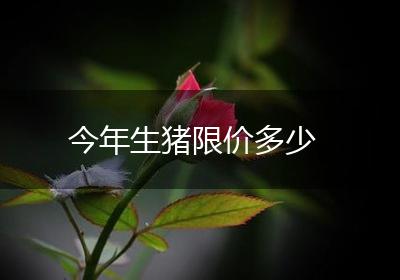 今年生猪限价多少
