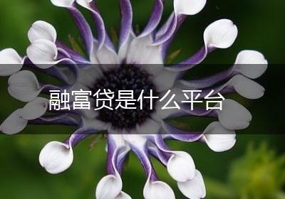 融富贷是什么平台