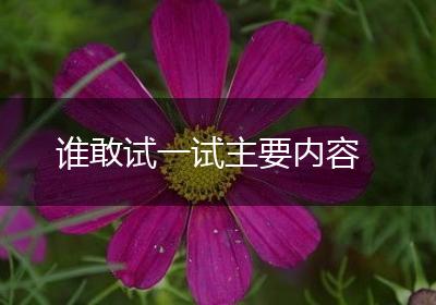 谁敢试一试主要内容