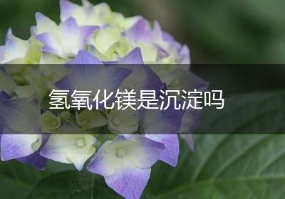 氢氧化镁是沉淀吗