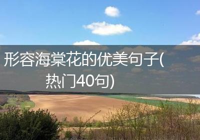 形容海棠花的优美句子(热门40句)
