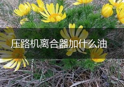 压路机离合器加什么油