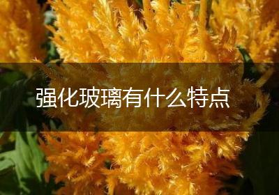 强化玻璃有什么特点