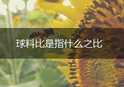 球料比是指什么之比