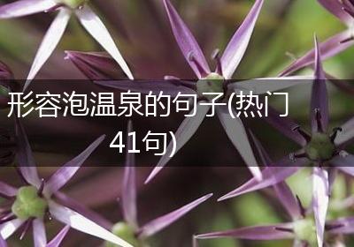 形容泡温泉的句子(热门41句)