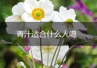 青汁适合什么人喝