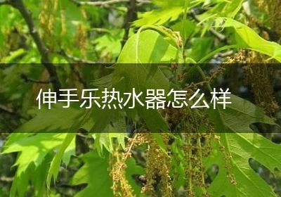 伸手乐热水器怎么样