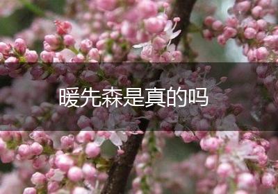 暖先森是真的吗