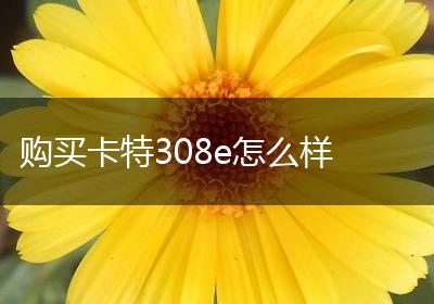 购买卡特308e怎么样