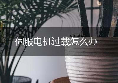 伺服电机过载怎么办