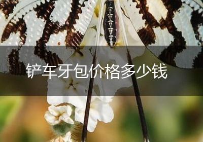 铲车牙包价格多少钱