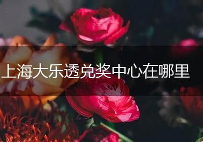 上海大乐透兑奖中心在哪里