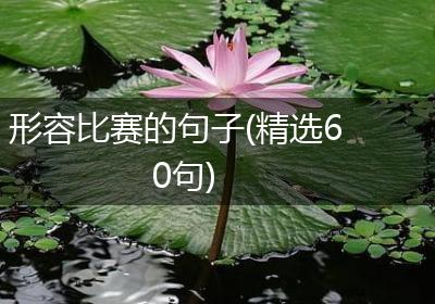 形容比赛的句子(精选60句)
