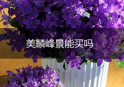 美麟峰景能买吗