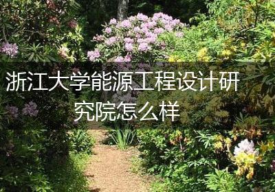 浙江大学能源工程设计研究院怎么样