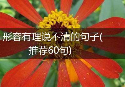 形容有理说不清的句子(推荐60句)