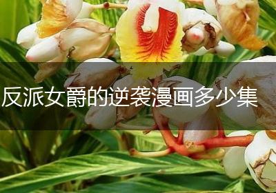 反派女爵的逆袭漫画多少集