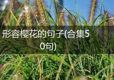 形容樱花的句子(合集50句)